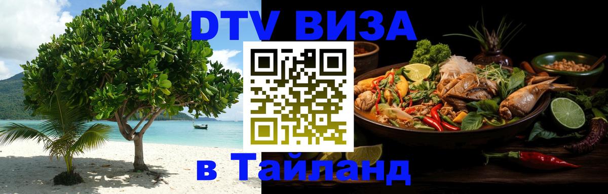 Оформление DTV визы под ключ: стоимость и тарифы, только загранпаспорт - 